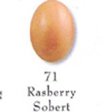 Review Nail Polish  / Mirage Nail Polish Rasberry sobert 71