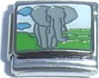 Clearly Charming Elephant Italian Charm Bracelet Link