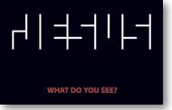 What Do You See? (Packet of 100, KJV)