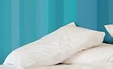 Allersoft Non-Membrane Pillow Encasements