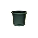 Ames True Temper RR0624EV Rolled Rim Planter & Saucer 6 - Green(pack of 24)