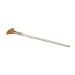 Glycolic Fan Brush