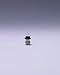 1.215 watt 2.7 volt T2.5 Special Screw Base EiKo Light Bulb