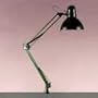 Catalina Lighting W2000BLK Incandescent 34 reach swing arm clamp-on lamp, black