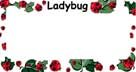 Airbrushed License Plate - - Ladybug Plastic License Plate Frame - #9513