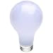 100-watt A19 incandescent bulb