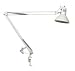 LumaPro 4PD38 Clamp On Light, 100 W