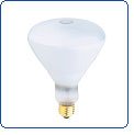 EHA 500w 120v light bulb USHIO