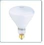 USHIO EHA 500w 120v Halogen Bulb