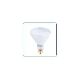 USHIO EHA 500w 120v Halogen Bulb