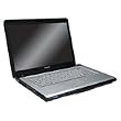 Toshiba Satellite Pro A210-EZ2201 - Athlon 64 X2 TK-55 / 1.8 GHz - RAM 1 GB - HDD 80 GB - DVD?RW (?R DL) / DVD-RAM - Radeon X1200 - WLAN : 802.11b/g - Vista Home Basic - 15.4" Widescreen TFT 1280 x 800 ( WXGA ) - onyx blue - Microsoft Office Ready