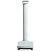 Digital Column Doctors Scale