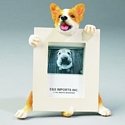 Welsh Corgi 2&frac12; x3&frac12; Photo Frame