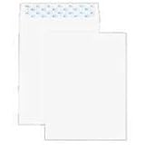 Sparco Open End Catalog Envelope