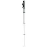 Gitzo GM2341 Series 2 4 Section Aluminum Monopod - Replaces GM2340 (Grey)