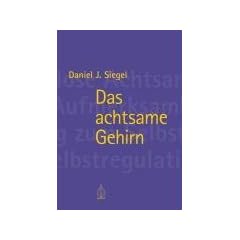 Das achtsame Gehirn