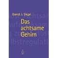 Das achtsame Gehirn