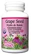 Grape Seed Extract 100mg - 90 - Capsule Grape Seed Extract 100mg - 90 - Capsule