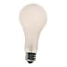ECA 250-Watt Screwbase Photoflood