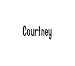 Jewelry : Clearly Charming Name Courtney Stainless Steel Text Numbers Types Italian Charm Link