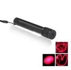 200mW 660nm Red Laser Pointer (2 x CR2 Batteries)