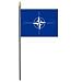 North Atlantic Treaty Organization (NATO) Miniature Flag