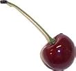 CHERRY 24 PACK Fake Food