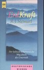 Erd-Kraft - Der keltisch-schamanische Weg durch die Unterwelt - (Erdkraft) - R. J. Stewart