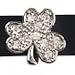 Slider Charm 10mm Shamrock