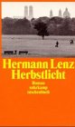 Herbstlicht: Roman (suhrkamp taschenbuch) - Hermann Lenz