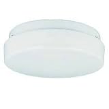 7918-15 - SeaGull Lighting Single-Light Outdoor Fluorescent