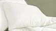 MARRIKAS 300TC Egyptian Cotton PillowCase Pair (2) KING WHITE SOLID