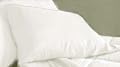 300TC Egyptian Cotton PillowCase Pair (2) STANDARD SOLID WHITE BY MARRIKAS