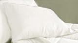 MARRIKAS 300TC Egyptian Cotton PillowCase Pair (2) QUEEN SOLID WHITE