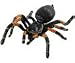 Tarantula Plastic Spider Toy