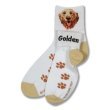 Golden Retriever Roll Down Sock