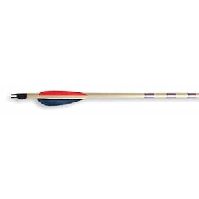 1/2 Gross 26" Deluxe Matched Cedar Wood Target Arrows