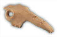 Reptile Horse Skull Hideout