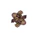 Frontier Natural Products Red Clover Blossoms, 1-Pound