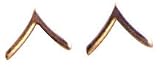 Travel Gear Bag Rothco Polished Rank Insignias   Various Ranks