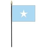 Arkansas Flag and Banner