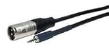 Comprehensive Standard Series XLR Plug to Stereo 3.5mm Mini Plug Audio Cable 10 ft