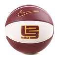Nike Lebron V All Courts Official Size Basketball