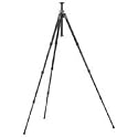 Gitzo GT2941LVL Series 2 Levelling Basalt Tripod