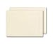 Ivory Vellum Panel Note Card and Envelope 20 sets