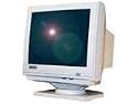 Miracle Monochrome MT107 - Display - CRT - 14"