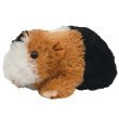 TY Beanie Baby Patches the guinea pig 11N1B8UiIBL. SL160 TY Beanie Baby Patches the guinea pig