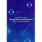 Warum platzen Seifenblasen?