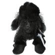Webkinz Black Poodle with Trading Cards