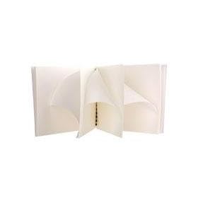 Click here to buy Delta 1 Print Drying Blotter Book 8x12 For Drying 8x10 Photos by Delta 1.